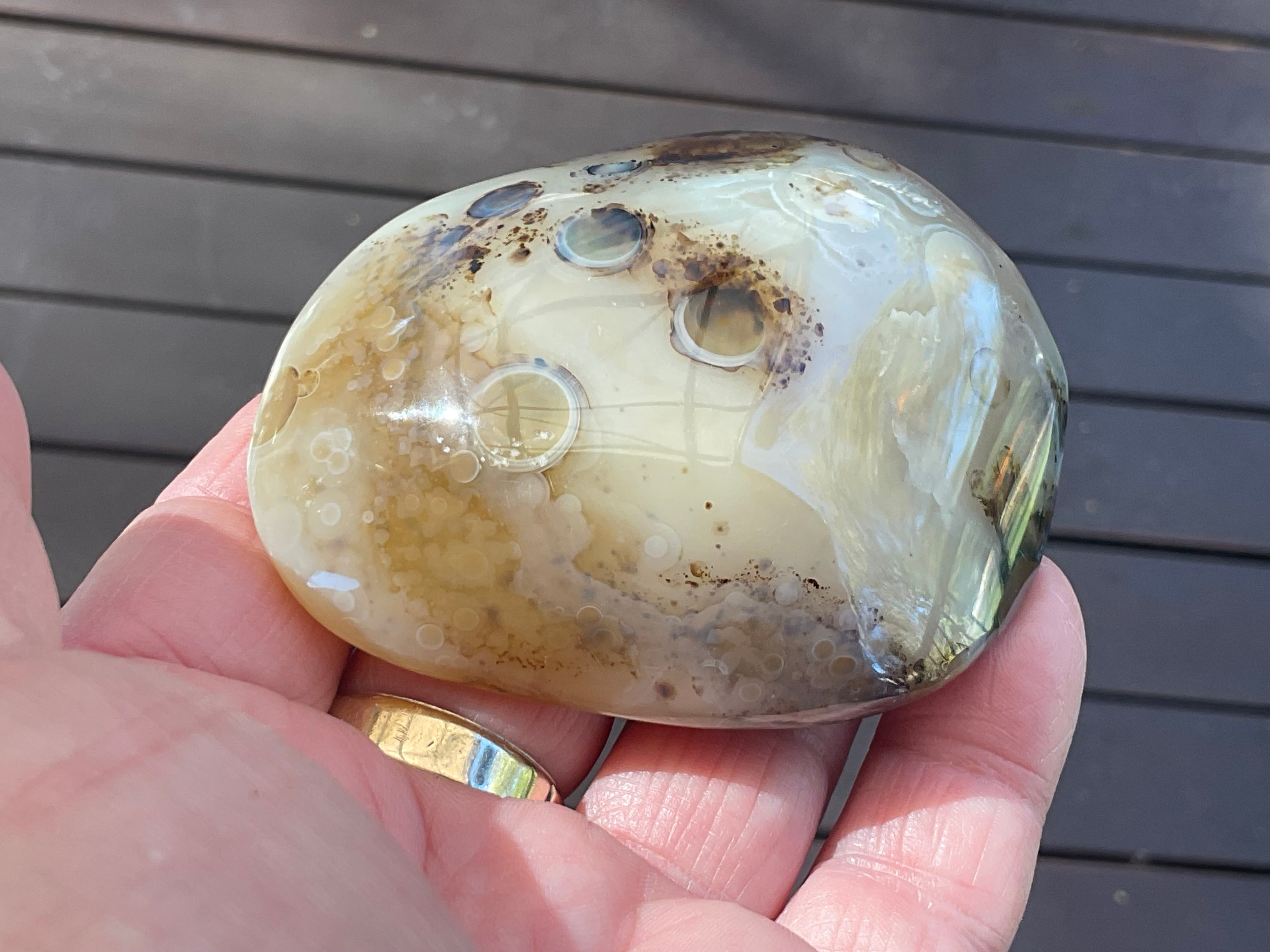 137g Dendritic Agate Palmstone
