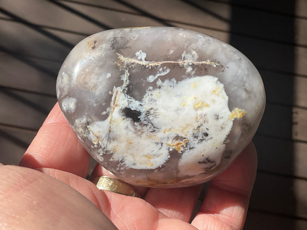 258g Dendritic Agate Palmstone A5