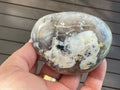 258g Dendritic Agate Palmstone A5
