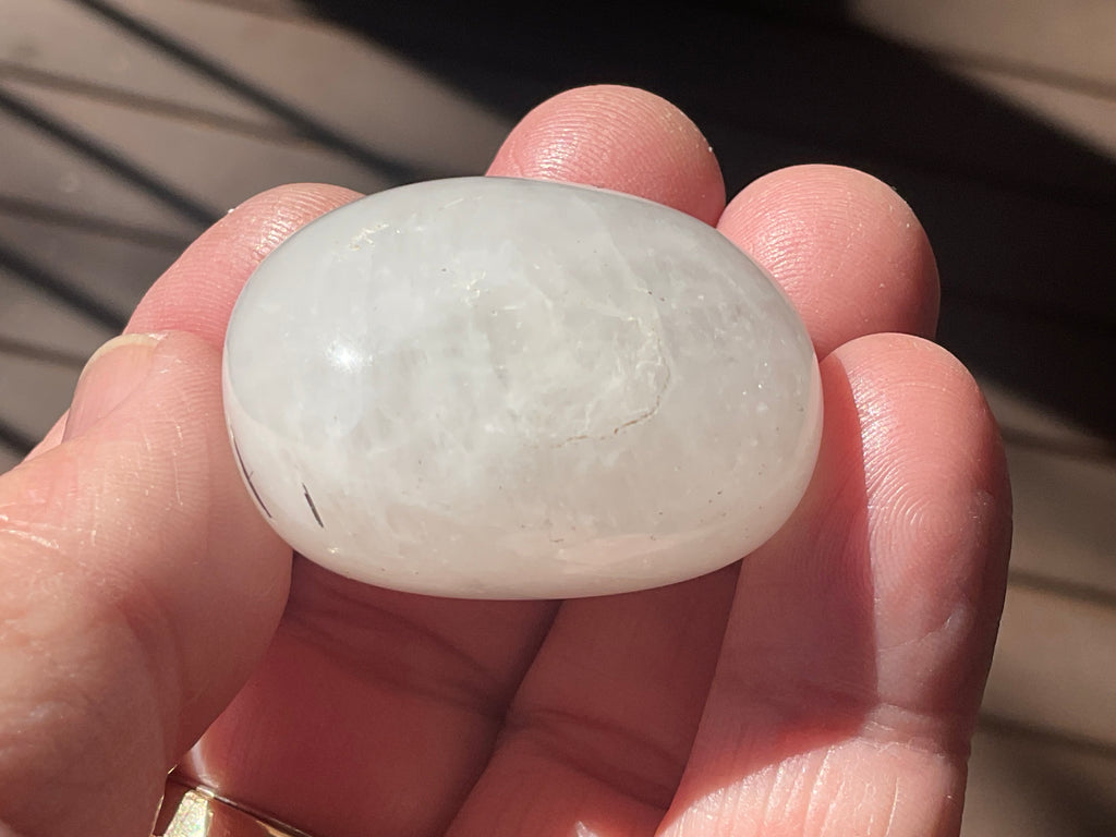 40g Tourmaline in Quartz Small Palmstone C