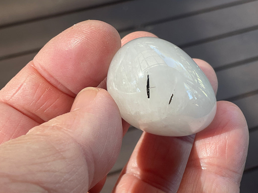 40g Tourmaline in Quartz Small Palmstone C
