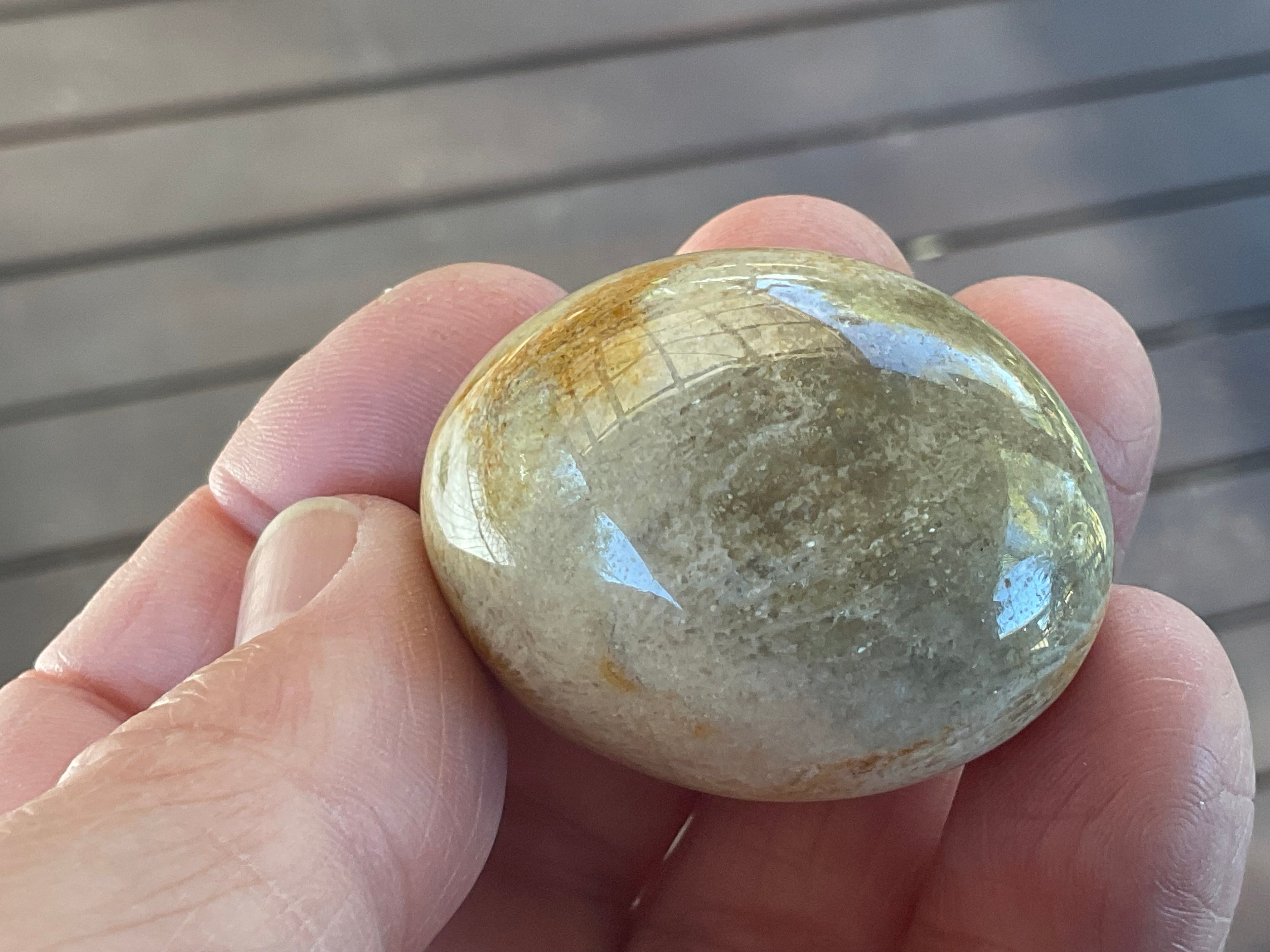 41g Small Fossilised Coral Palmstone B