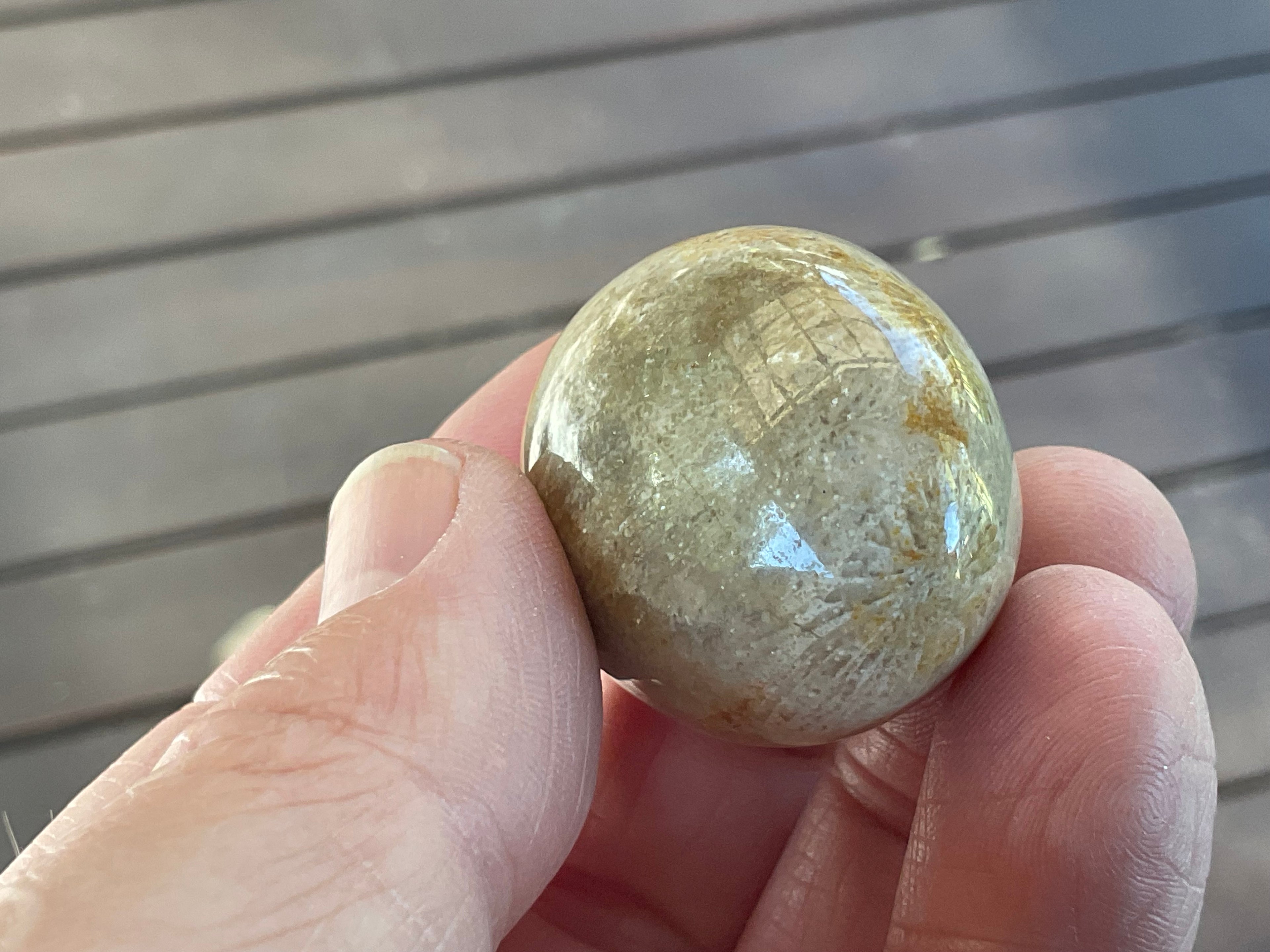 41g Small Fossilised Coral Palmstone B