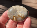 33g Small Fossilised Coral Palmstone 2A