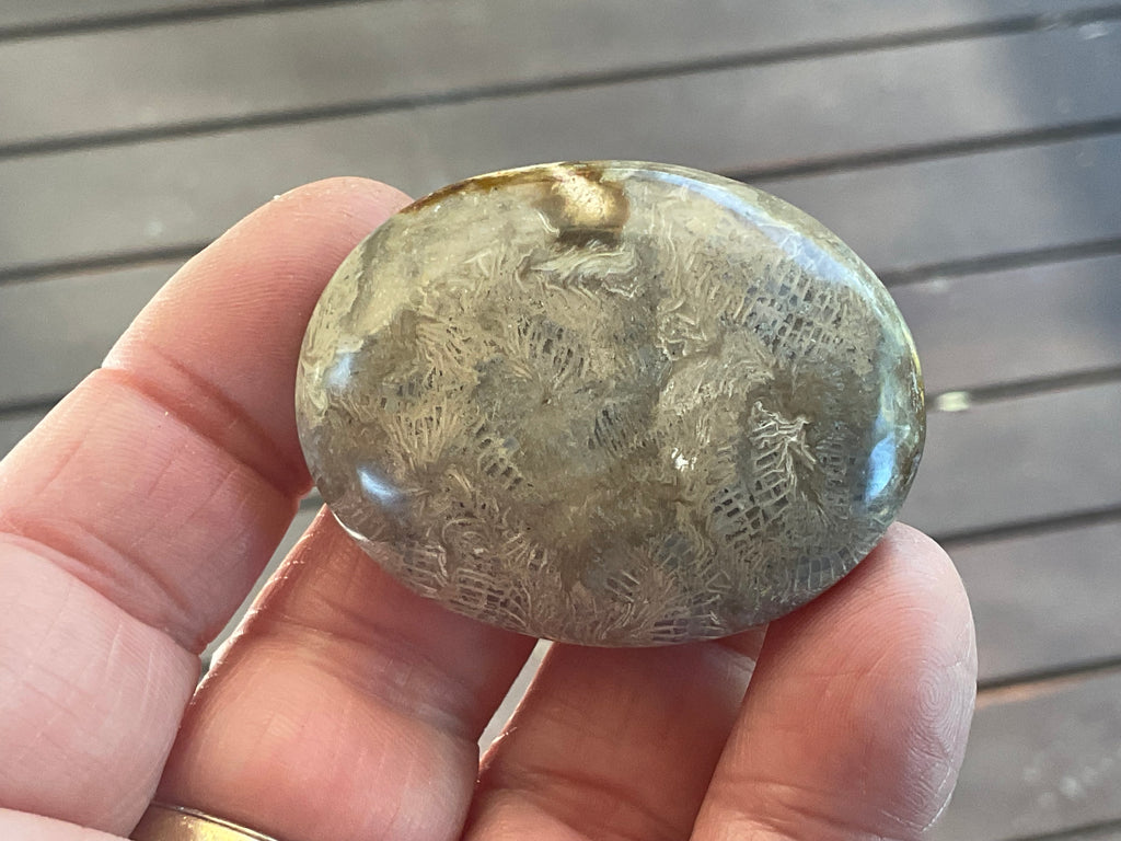 33g Small Fossilised Coral Palmstone 2A