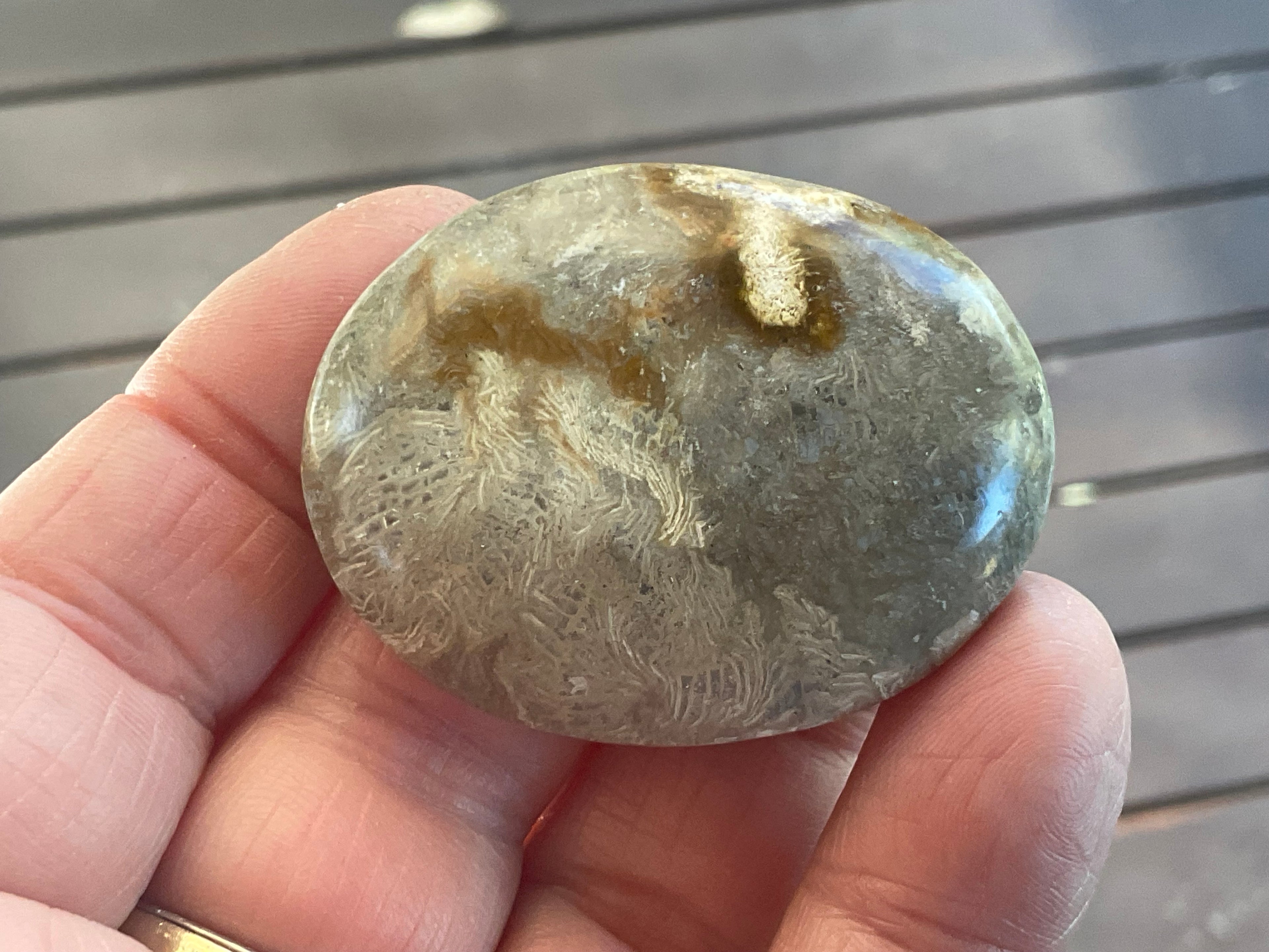 33g Small Fossilised Coral Palmstone 2A