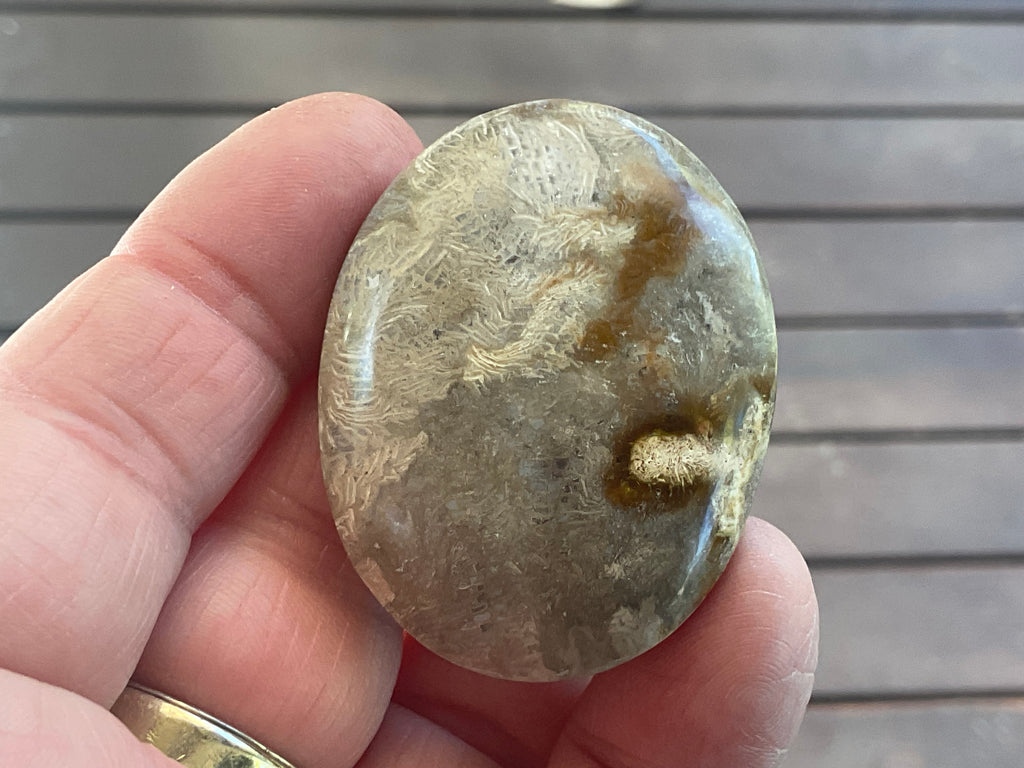33g Small Fossilised Coral Palmstone 2A