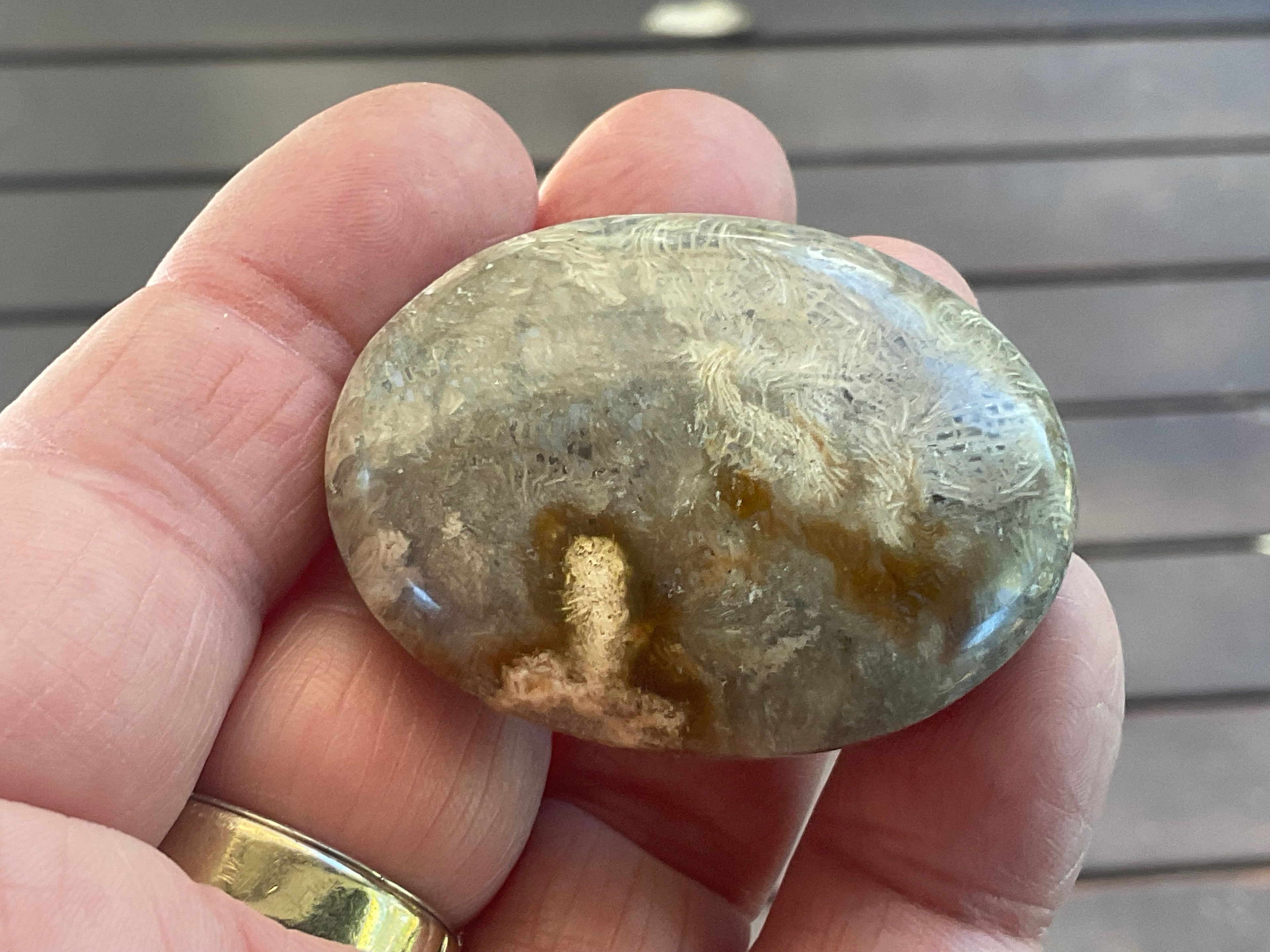 33g Small Fossilised Coral Palmstone 2A