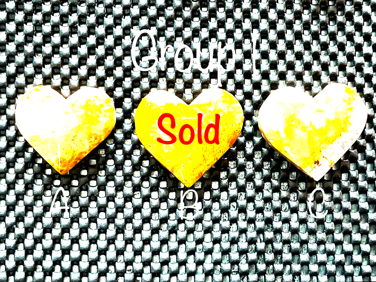 30g Fossilised Coral Heart 1A