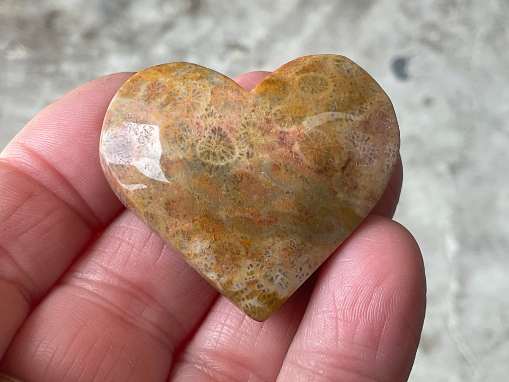30g Fossilised Coral Heart 1A