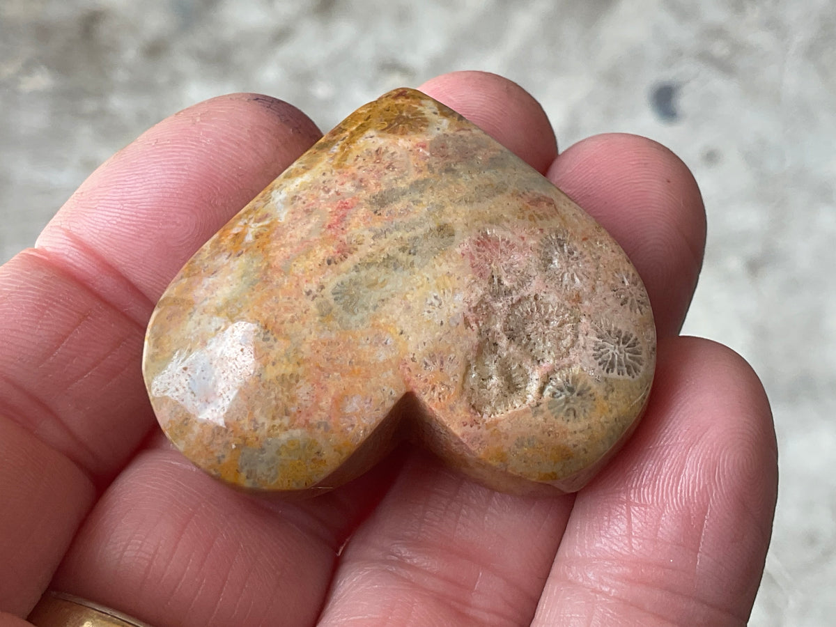 30g Fossilised Coral Heart 1A