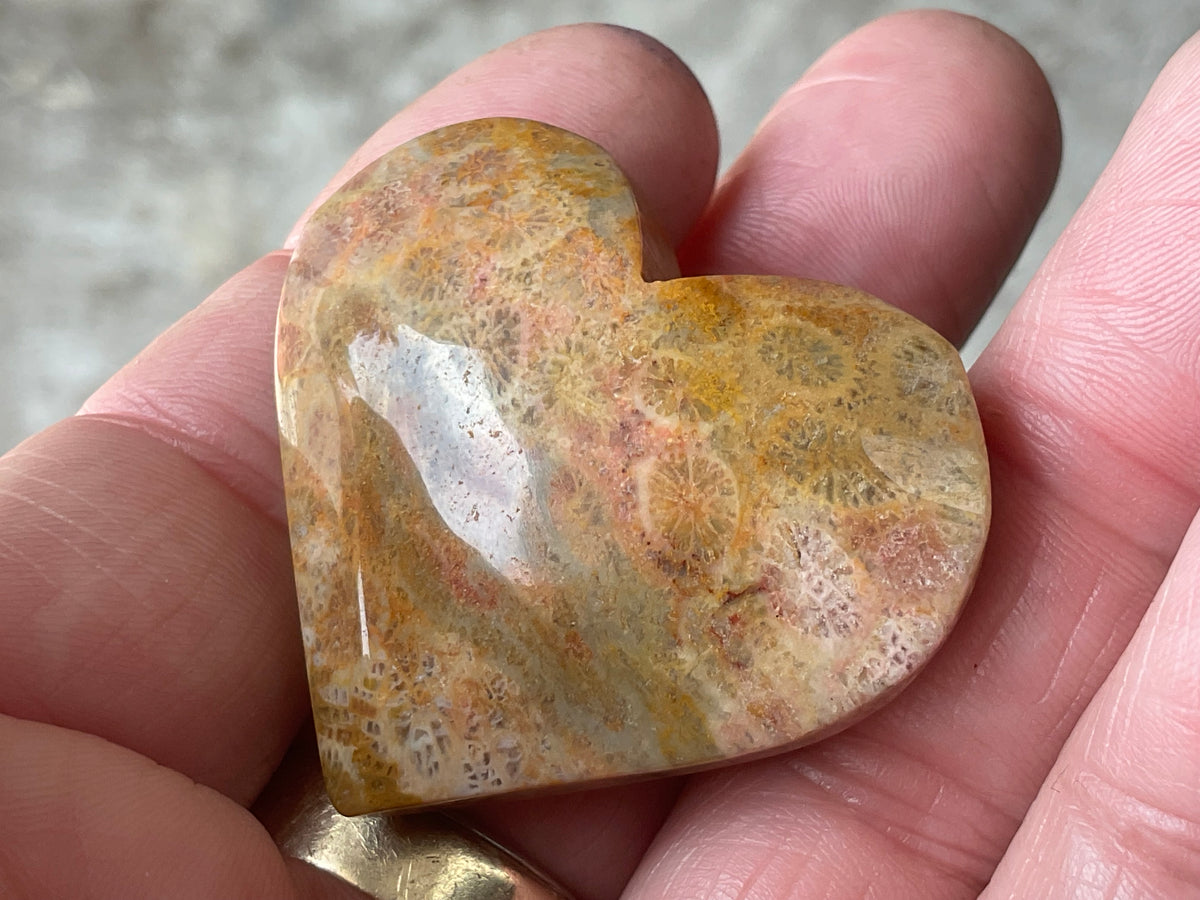 30g Fossilised Coral Heart 1A
