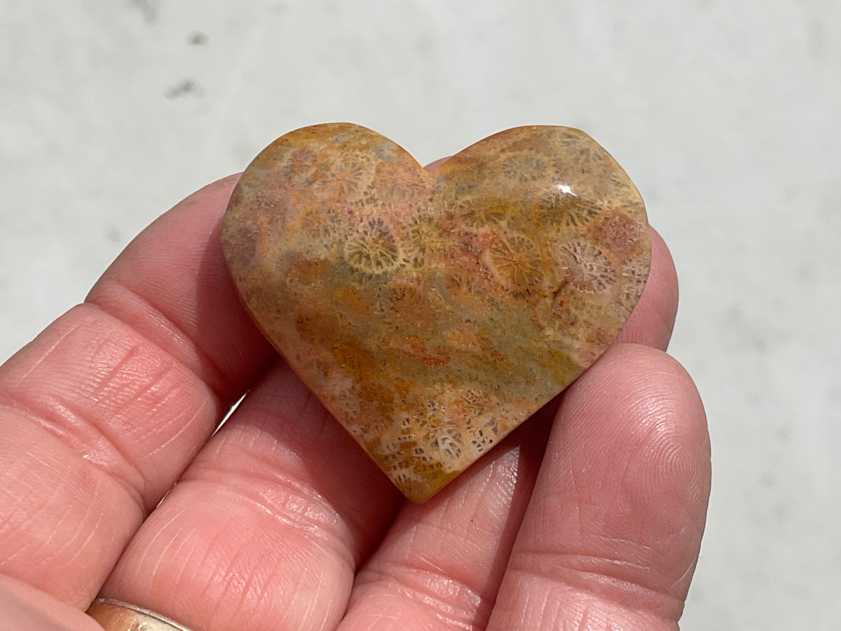 30g Fossilised Coral Heart 1A