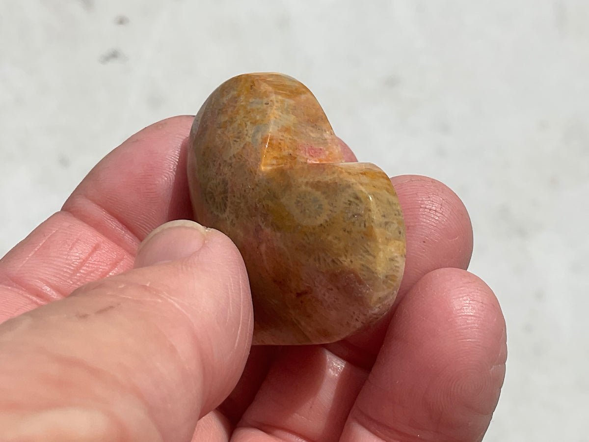30g Fossilised Coral Heart 1A