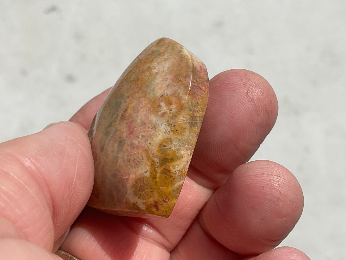 30g Fossilised Coral Heart 1A