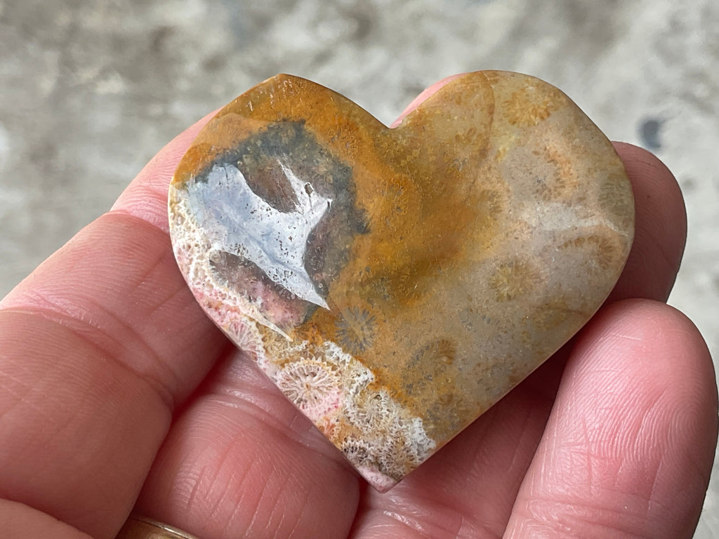 34g Fossilised Coral Heart 1C