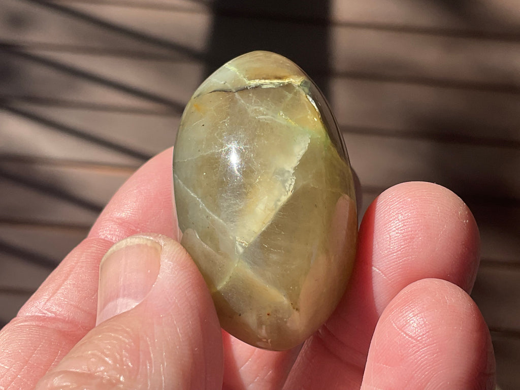 55g Garnerite Palmstone