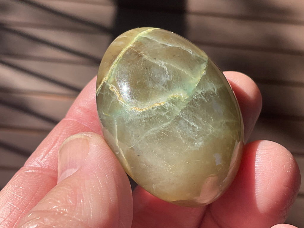 55g Garnerite Palmstone