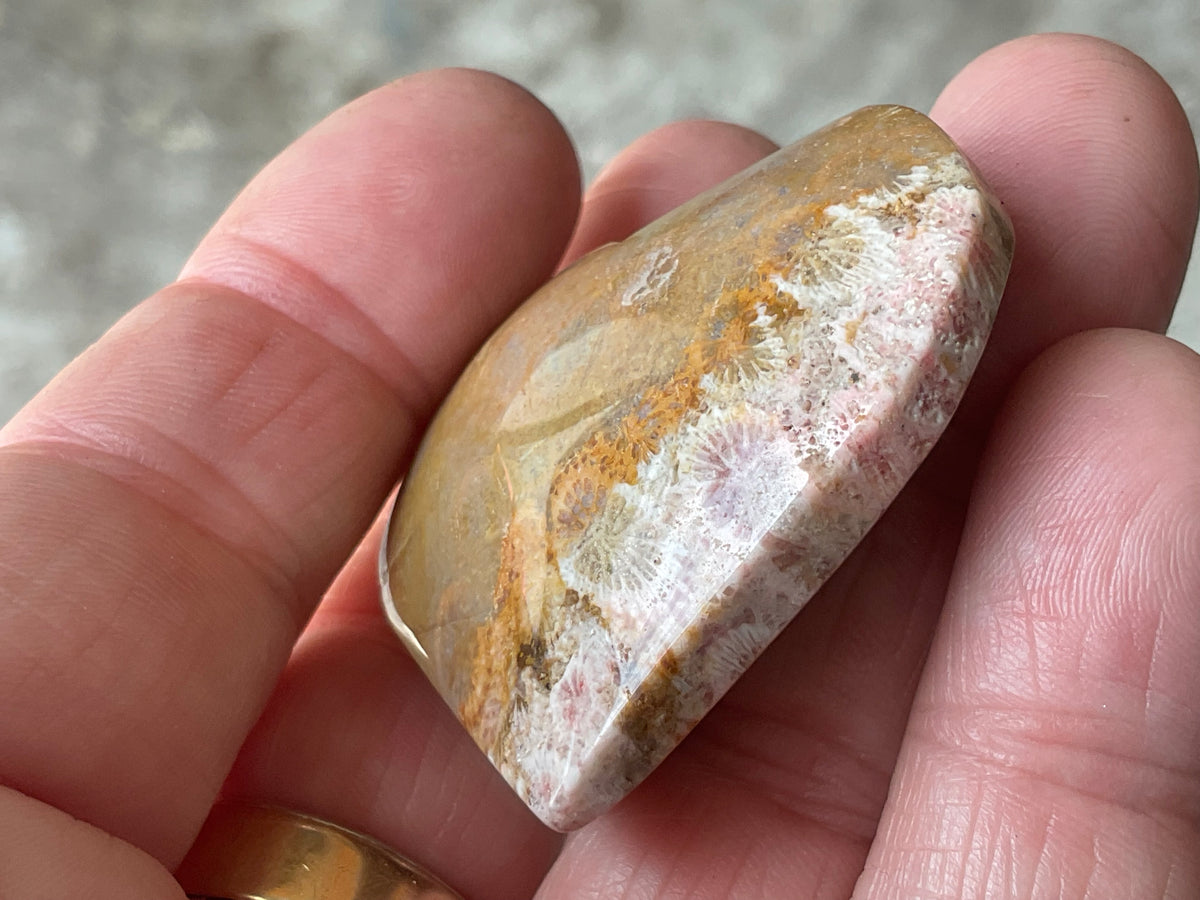 34g Fossilised Coral Heart 1C