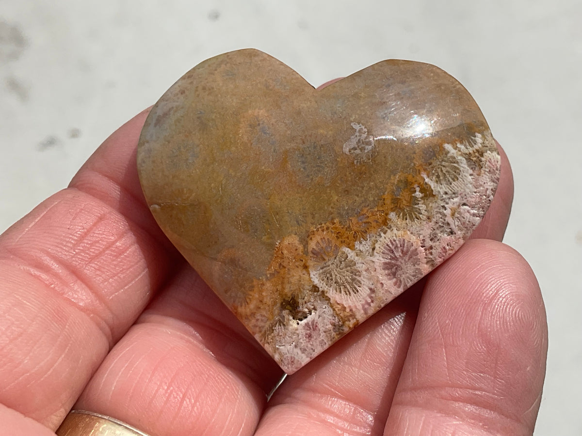 34g Fossilised Coral Heart 1C
