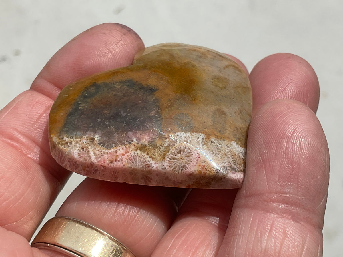 34g Fossilised Coral Heart 1C