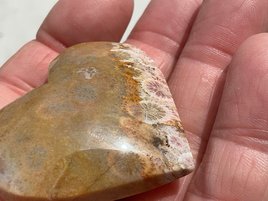 34g Fossilised Coral Heart 1C