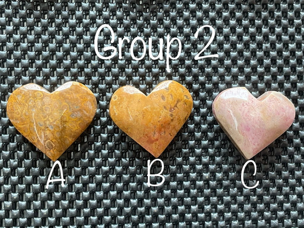 40g Fossilised Coral Heart 2C