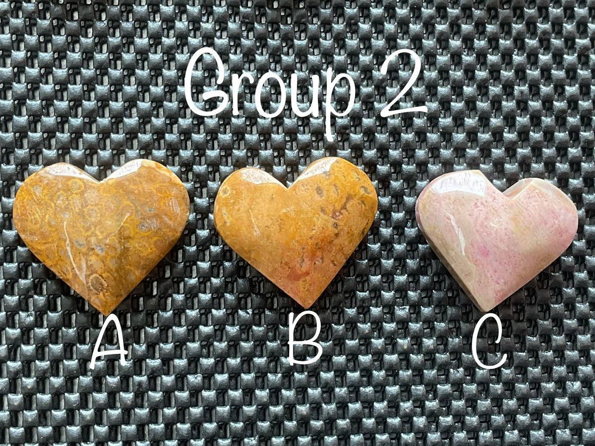 40g Fossilised Coral Heart 2C