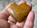 34g Fossilised Coral Heart 2A