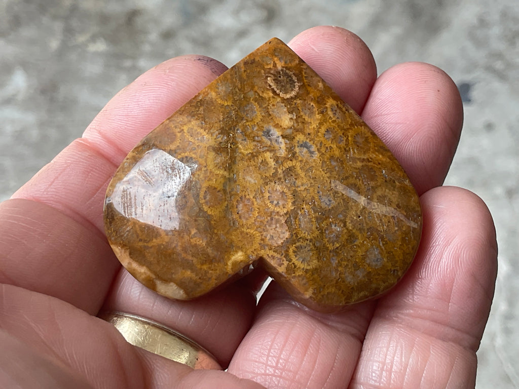 34g Fossilised Coral Heart 2A