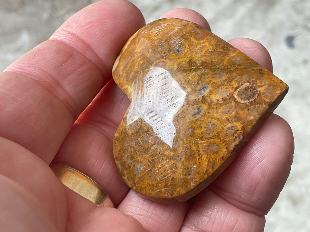 34g Fossilised Coral Heart 2A