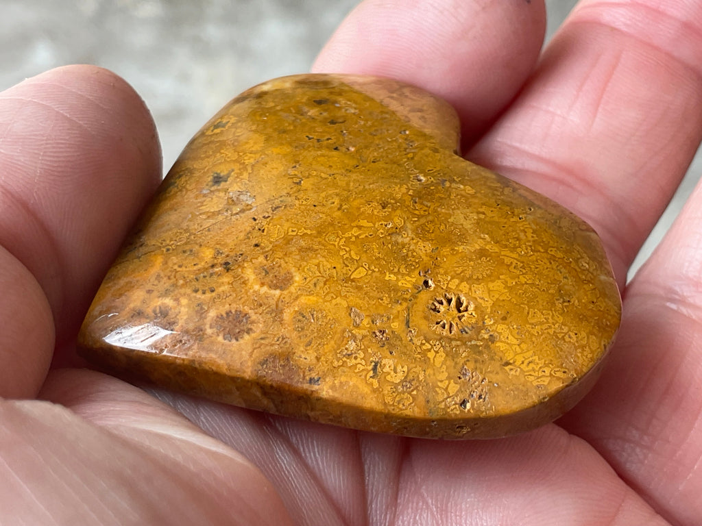 34g Fossilised Coral Heart 2A