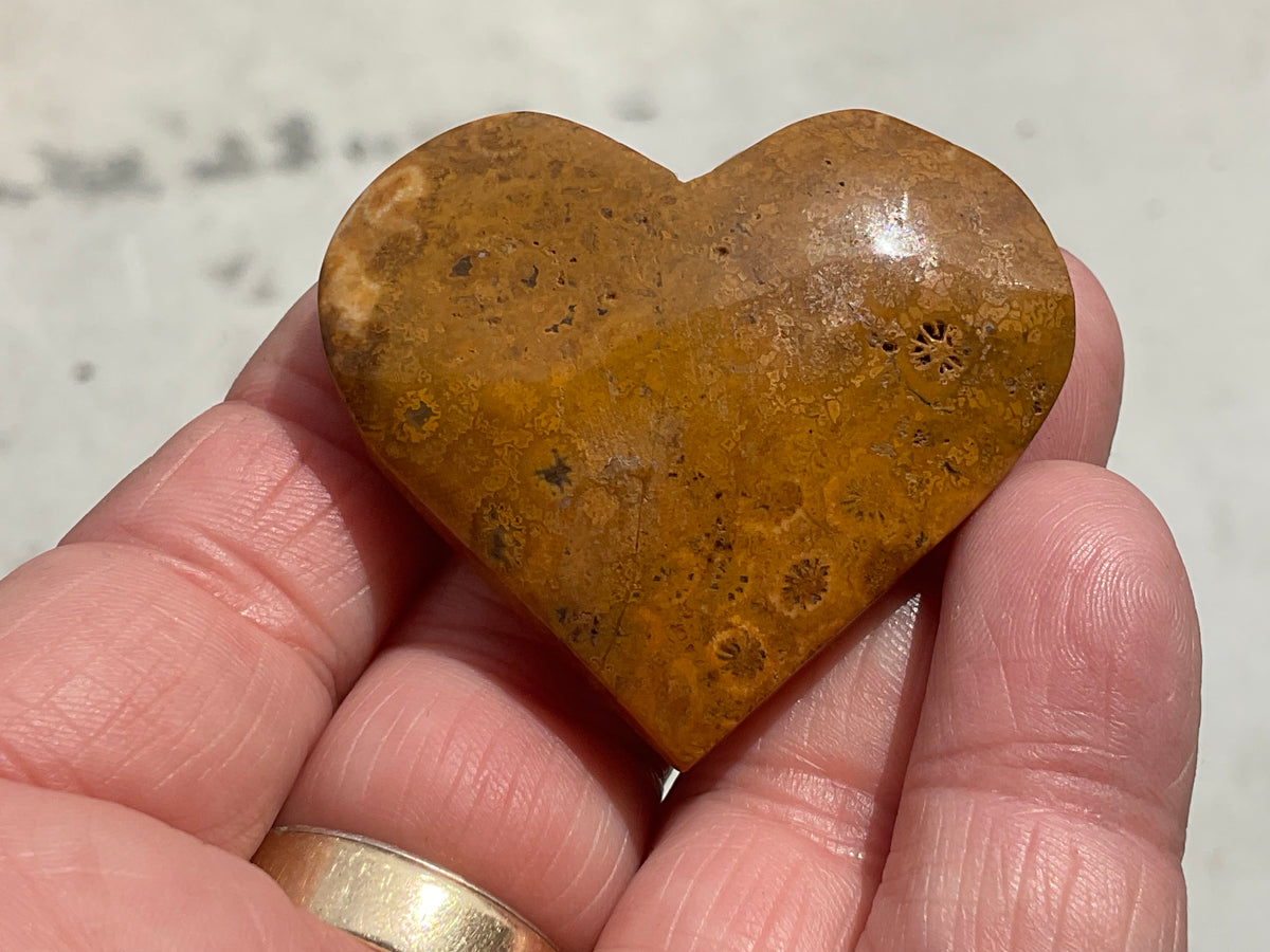 34g Fossilised Coral Heart 2A