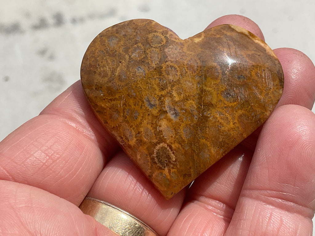 34g Fossilised Coral Heart 2A