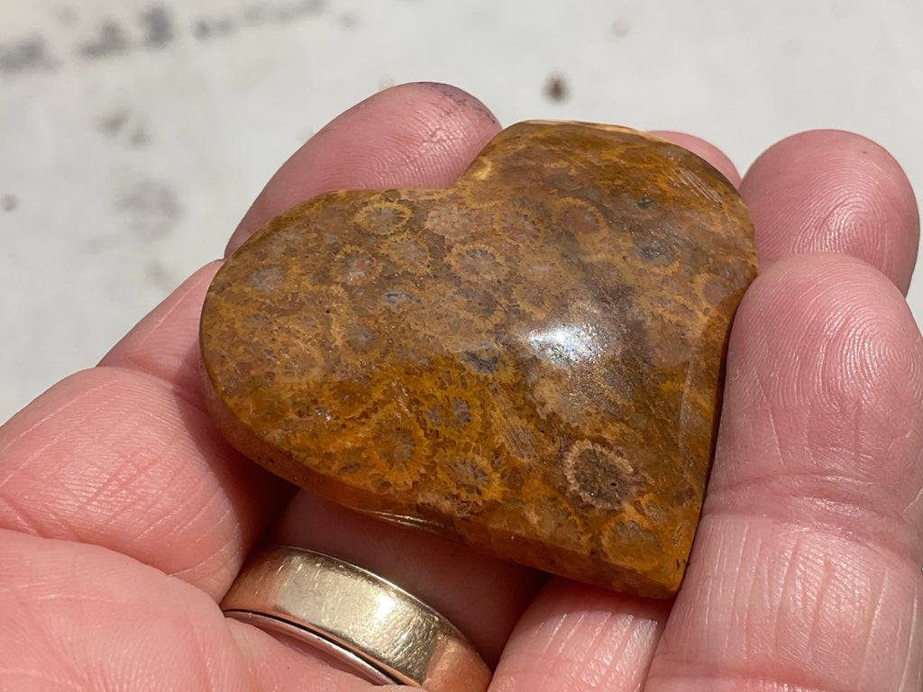 34g Fossilised Coral Heart 2A