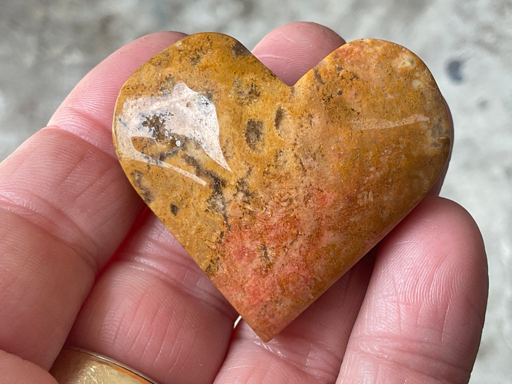 36g Fossilised Coral Heart 2B
