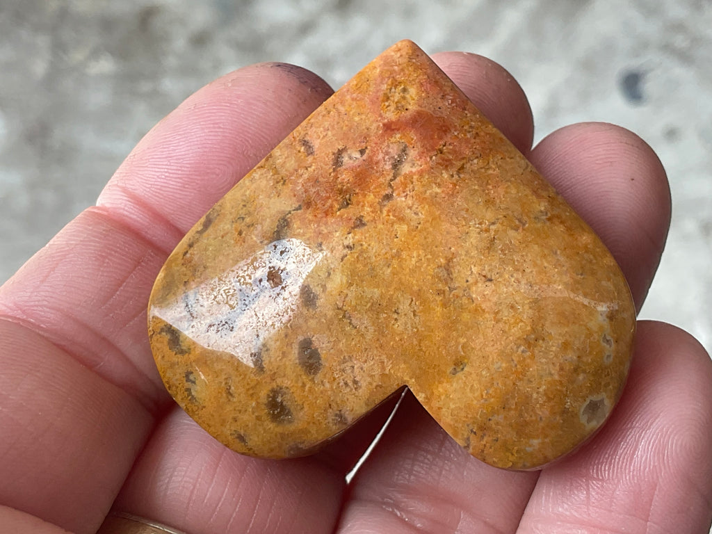 36g Fossilised Coral Heart 2B