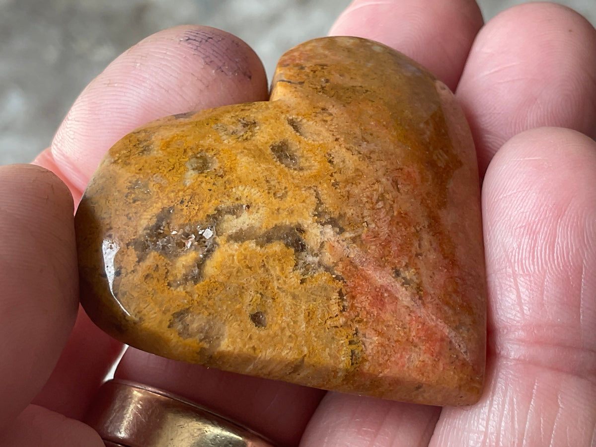36g Fossilised Coral Heart 2B