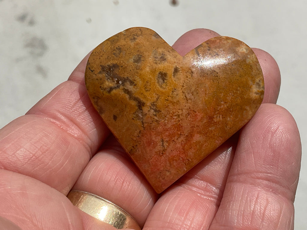 36g Fossilised Coral Heart 2B