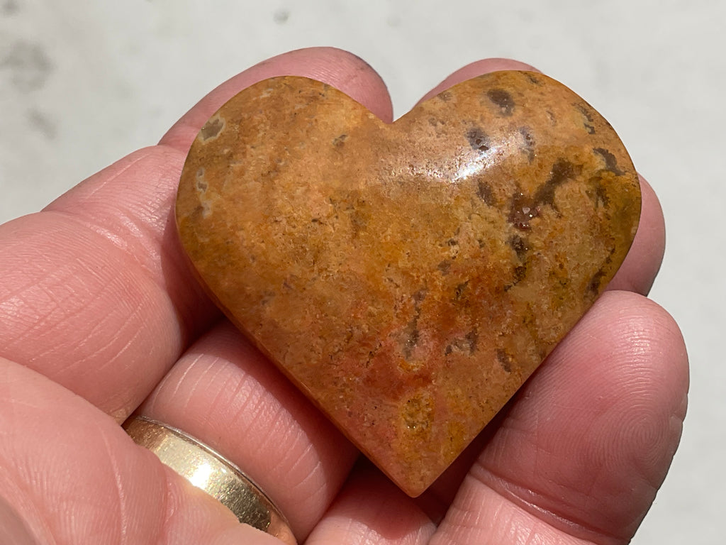 36g Fossilised Coral Heart 2B