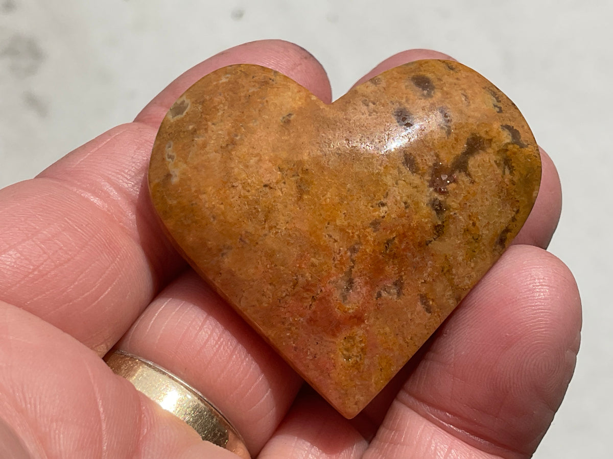 36g Fossilised Coral Heart 2B
