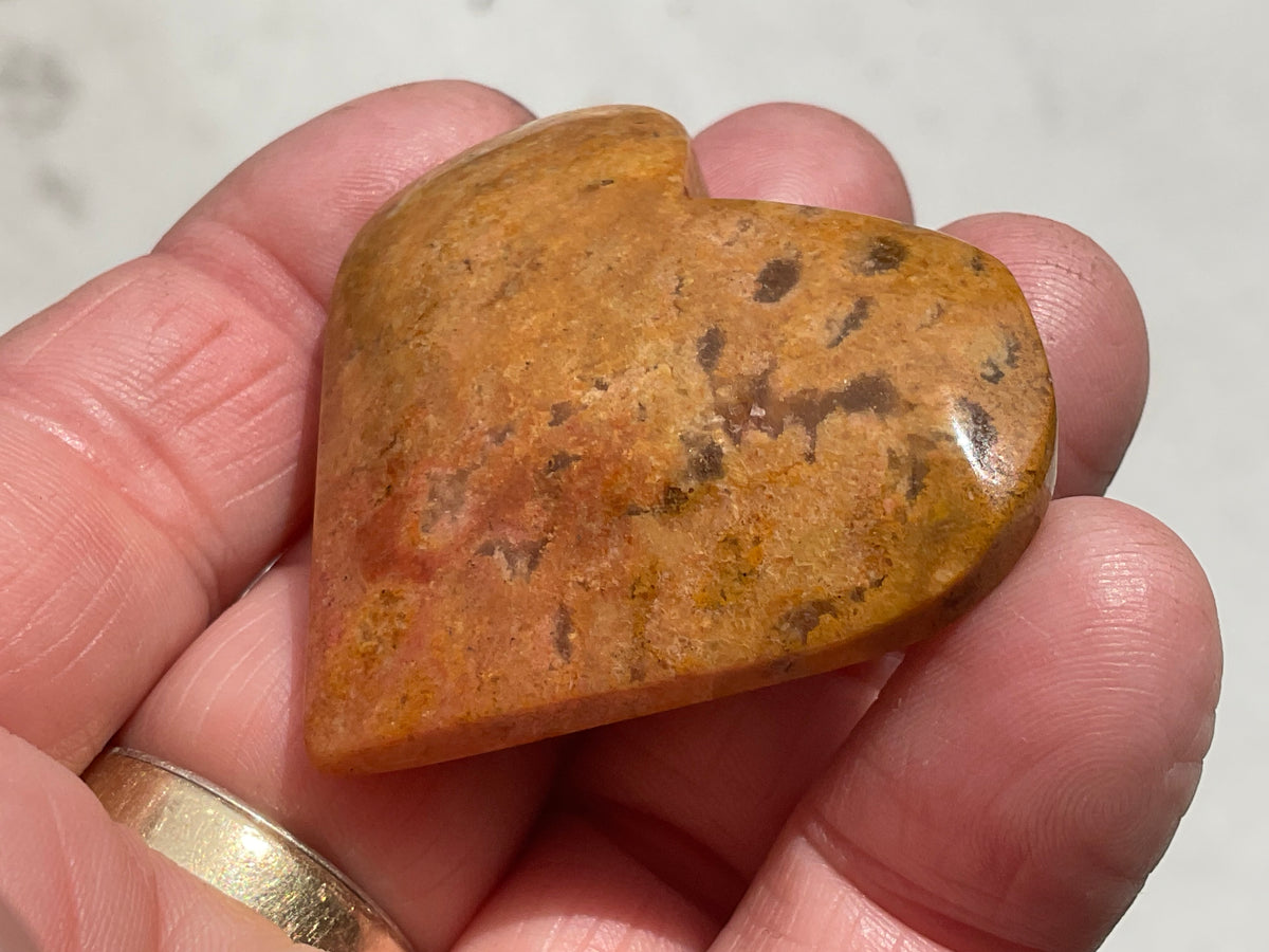 36g Fossilised Coral Heart 2B
