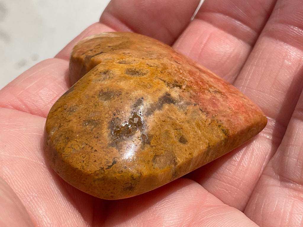 36g Fossilised Coral Heart 2B