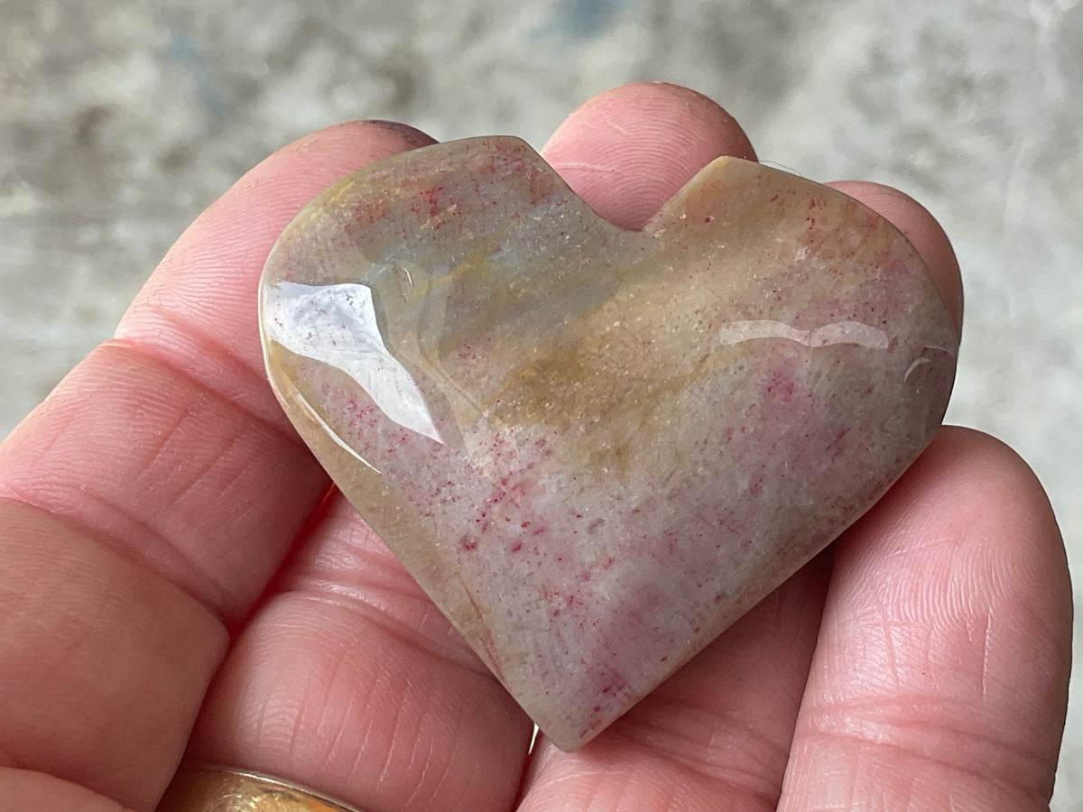 40g Fossilised Coral Heart 2C