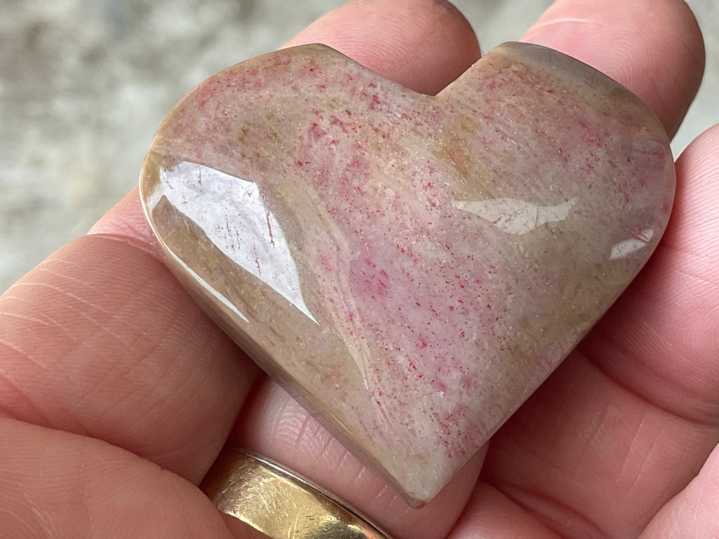 40g Fossilised Coral Heart 2C