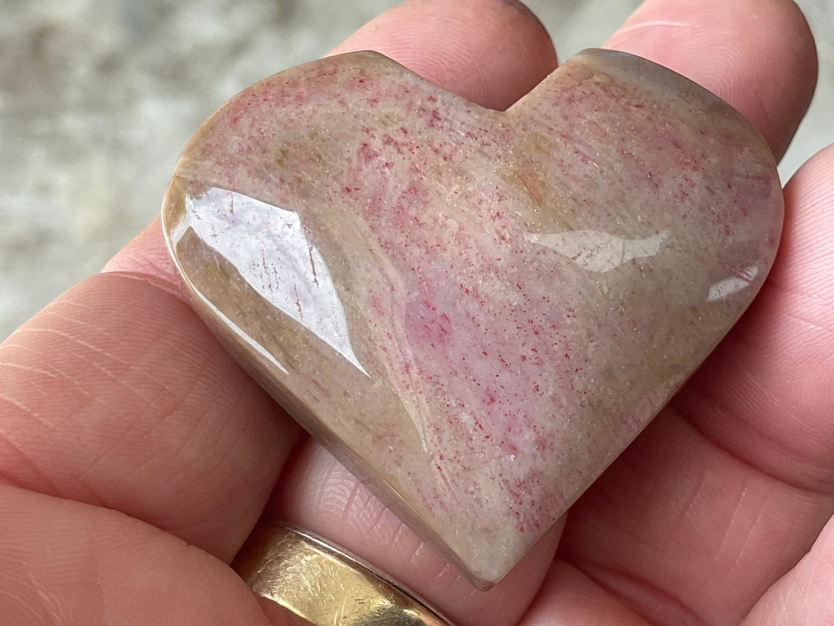 40g Fossilised Coral Heart 2C