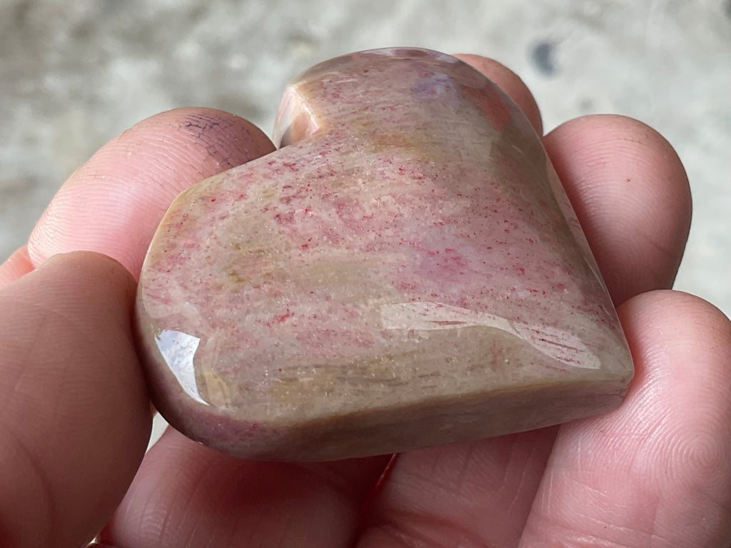 40g Fossilised Coral Heart 2C