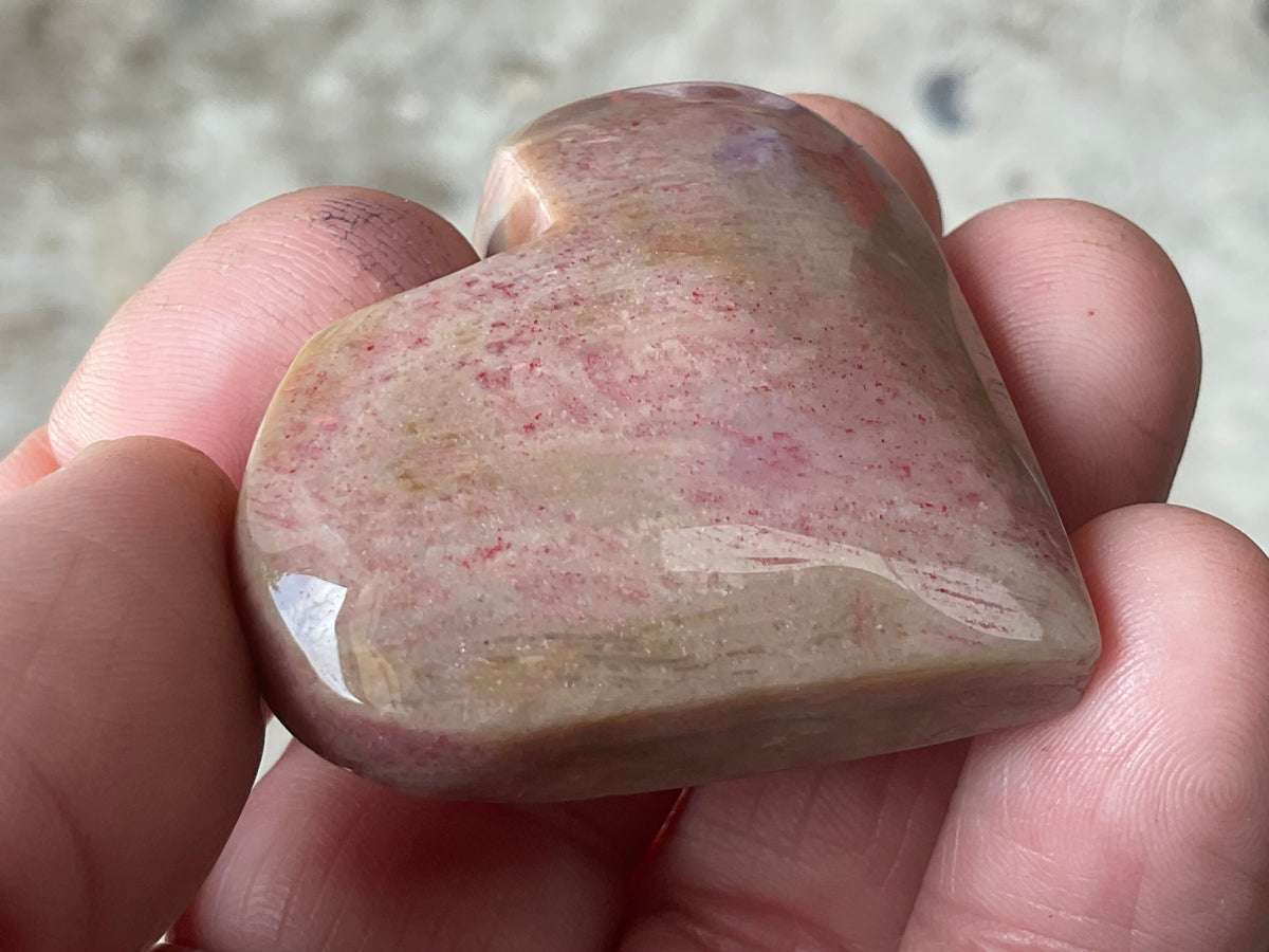 40g Fossilised Coral Heart 2C
