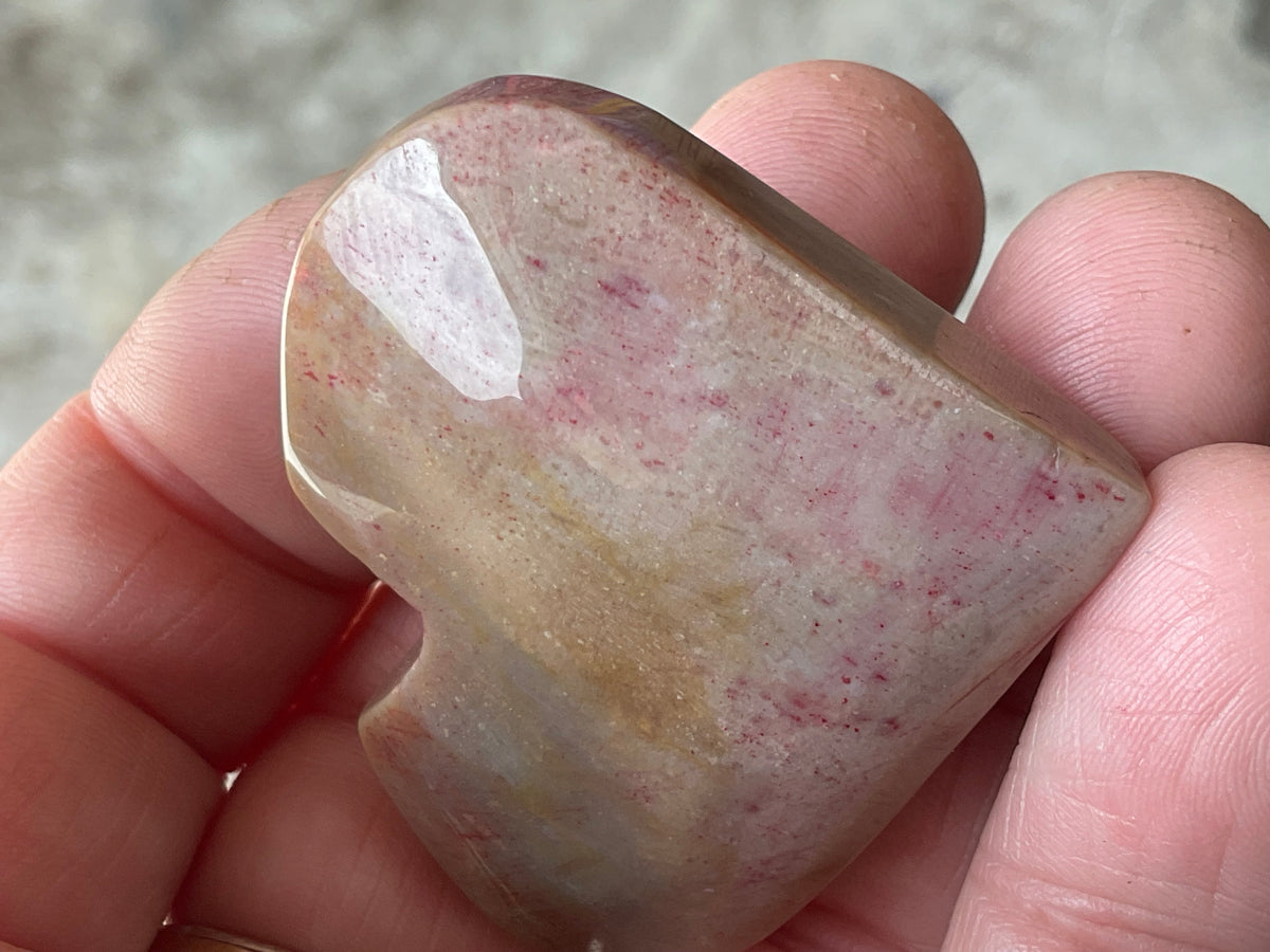 40g Fossilised Coral Heart 2C