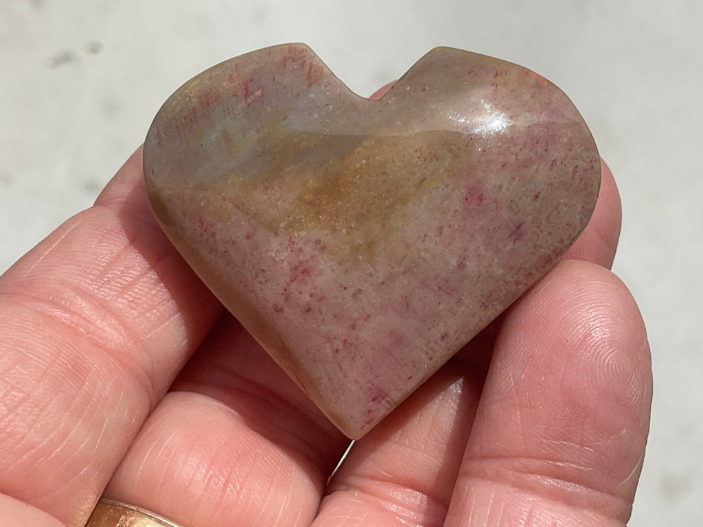 40g Fossilised Coral Heart 2C
